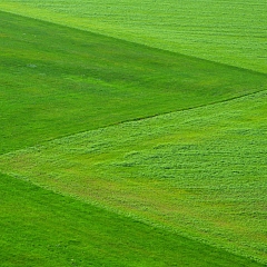 Test 10
