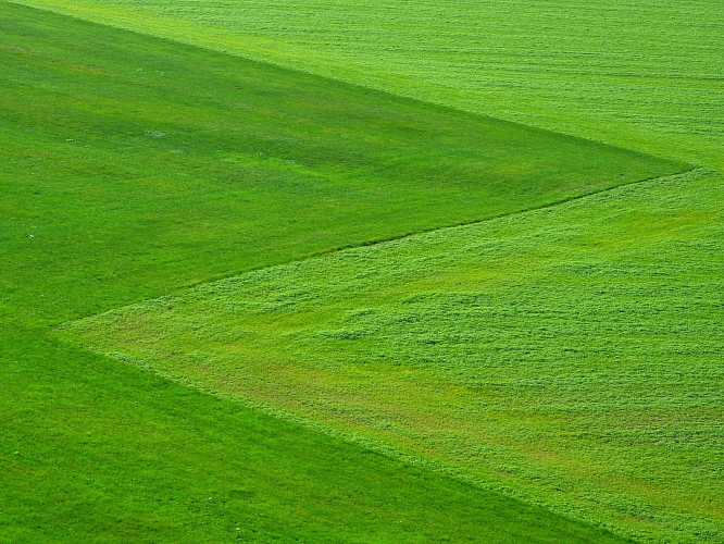 Test 10