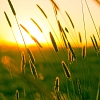  Titel des News-Beitrag