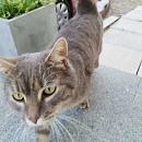 Squat- sucht Einzelplatz mit Freigang