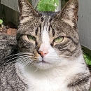 Julio