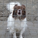 Maggy