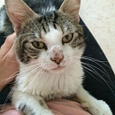 Filou