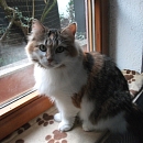Queeny 1