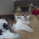 Queeny 1