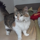 Queeny 1