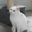 Kalinka
