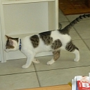 Monty
