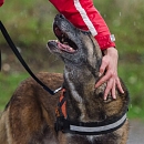 Torka