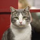 Camillo