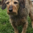 Peggy