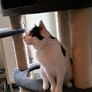 Sammy