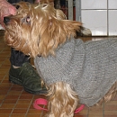 Ulka