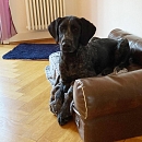 Bimba