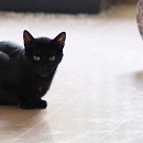 Luna (& Sohnemann Sindbad)