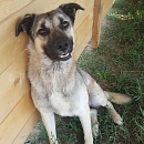 Linus