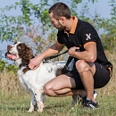 Gouguy (der gute Laune Hund)