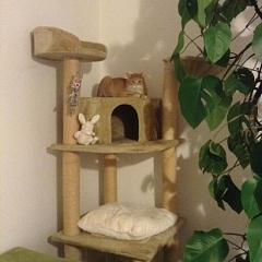 Mur hat sich schon ganz gut eingelebt! :-)
