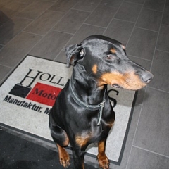 Justin an seinem neuen Traumplatz