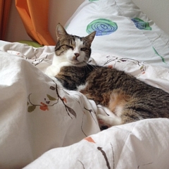 Grüsse von Ananda