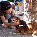 Sonntag, 3.07.2011: Das Pfotenteam im Tierheim Weil am Rhein