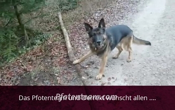 Die besten Wünsche zum Neuen Jahr allen Zwei- und Vierbeinern!