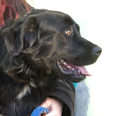 Grüsse von Peggy