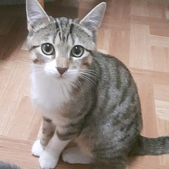 Yuma (& Lye)