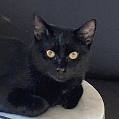 Clyde